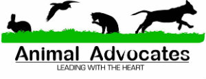 Animal Avocates Leading with the Heart
